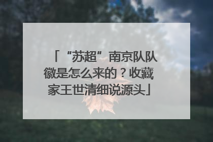 “苏超”南京队队徽是怎么来的？收藏家王世清细说源头