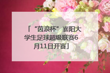 “茵浪杯”襄阳大学生足球超级联赛6月11日开赛
