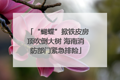 “蝴蝶”掀铁皮房顶吹倒大树 海南消防部门紧急排险