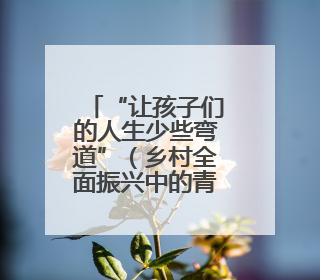 “让孩子们的人生少些弯道”（乡村全面振兴中的青春力量）