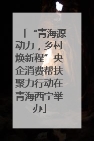 “青海源动力，乡村焕新程”央企消费帮扶聚力行动在青海西宁举办