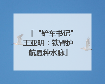 “铲车书记”王亚明：铁臂护航夏种水脉
