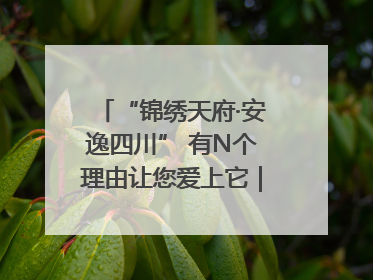“锦绣天府·安逸四川” 有N个理由让您爱上它｜新闻发布最前线