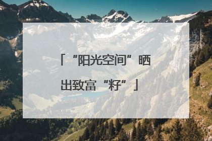 “阳光空间”晒出致富“籽”