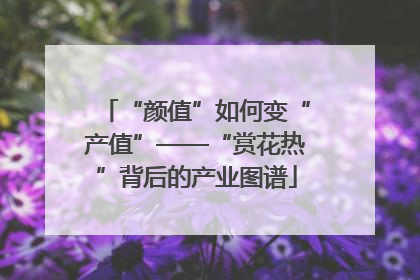 “颜值”如何变“产值”——“赏花热”背后的产业图谱
