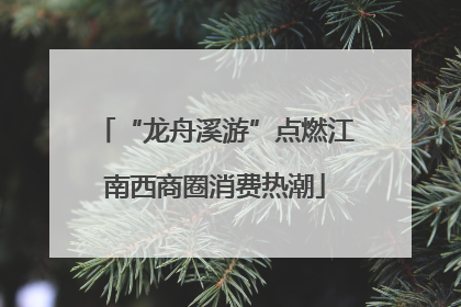 “龙舟溪游”点燃江南西商圈消费热潮