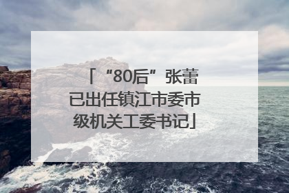 “80后”张蕾已出任镇江市委市级机关工委书记