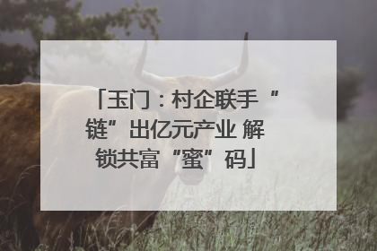 玉门：村企联手“链”出亿元产业 解锁共富“蜜”码
