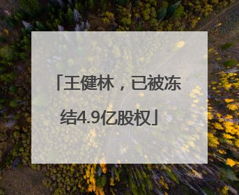 王健林，已被冻结4.9亿股权