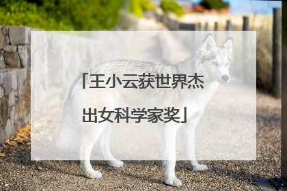 王小云获世界杰出女科学家奖