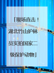 现场直击！湖北竹山护林员实拍国家二级保护动物