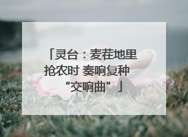 灵台：麦茬地里抢农时 奏响复种“交响曲”