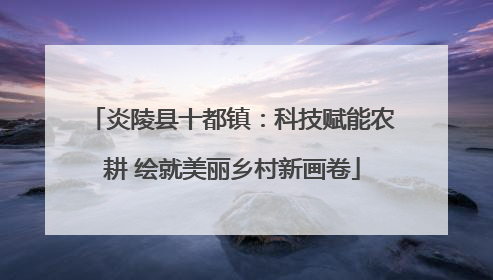 炎陵县十都镇：科技赋能农耕 绘就美丽乡村新画卷