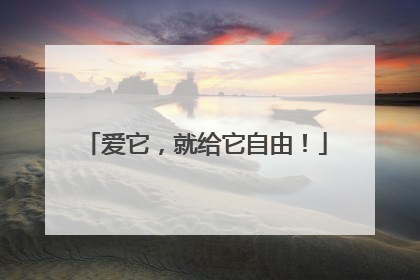 爱它，就给它自由！