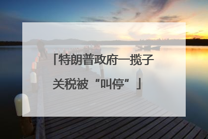 特朗普政府一揽子关税被“叫停”