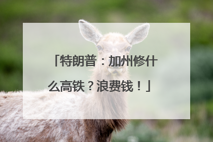 特朗普：加州修什么高铁？浪费钱！