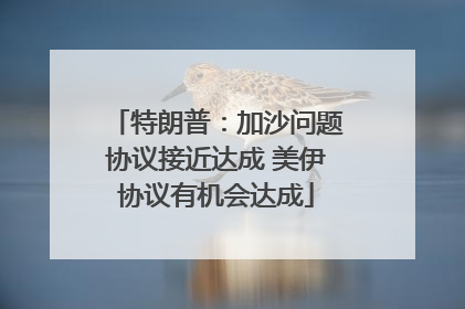 特朗普：加沙问题协议接近达成 美伊协议有机会达成