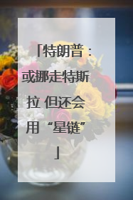 特朗普：或挪走特斯拉 但还会用“星链”