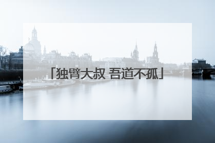 独臂大叔 吾道不孤
