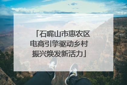 石嘴山市惠农区电商引擎驱动乡村振兴焕发新活力