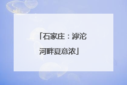 石家庄：滹沱河畔夏意浓