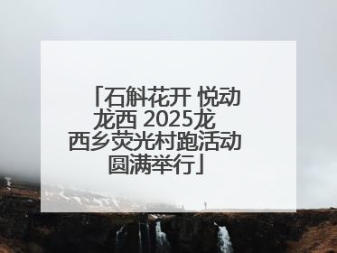 石斛花开 悦动龙西 2025龙西乡荧光村跑活动圆满举行