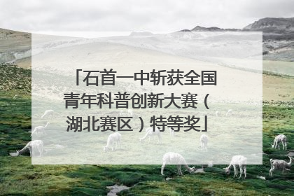 石首一中斩获全国青年科普创新大赛（湖北赛区）特等奖