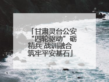 甘肃灵台公安“四轮驱动”砺精兵 战训融合筑牢平安基石