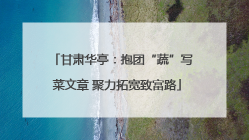 甘肃华亭：抱团“蔬”写菜文章 聚力拓宽致富路