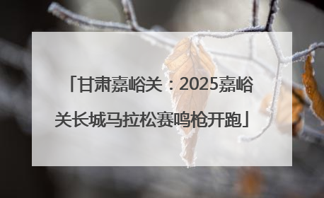 甘肃嘉峪关：2025嘉峪关长城马拉松赛鸣枪开跑