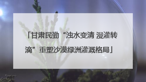 甘肃民勤“浊水变清 漫灌转滴”重塑沙漠绿洲灌溉格局