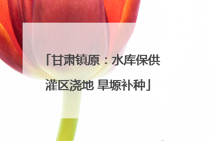 甘肃镇原：水库保供 灌区浇地 旱塬补种