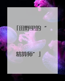 田野里的“精算师”