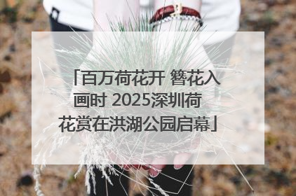 百万荷花开 簪花入画时 2025深圳荷花赏在洪湖公园启幕