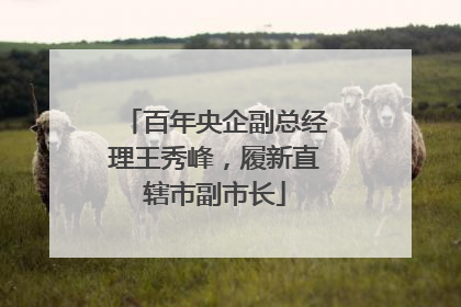 百年央企副总经理王秀峰，履新直辖市副市长
