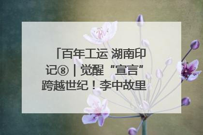 百年工运 湖南印记⑧｜觉醒“宣言”跨越世纪！李中故里的红色陈列