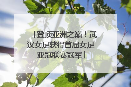 登顶亚洲之巅！武汉女足获得首届女足亚冠联赛冠军