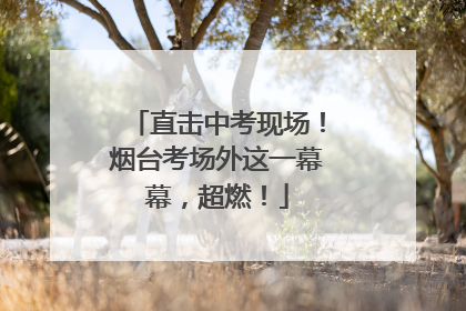 直击中考现场！烟台考场外这一幕幕，超燃！