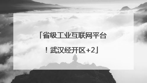 省级工业互联网平台！武汉经开区+2