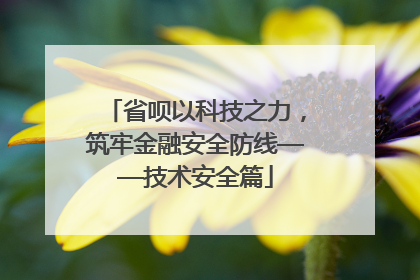 省呗以科技之力，筑牢金融安全防线——技术安全篇