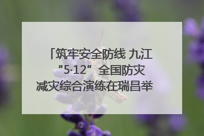 筑牢安全防线 九江“5·12”全国防灾减灾综合演练在瑞昌举行（组图｜视频）