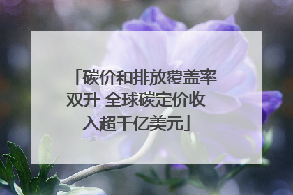 碳价和排放覆盖率双升 全球碳定价收入超千亿美元