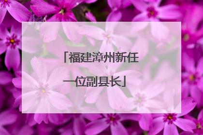 福建漳州新任一位副县长