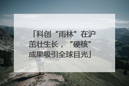 科创“雨林”在沪茁壮生长，“硬核”成果吸引全球目光