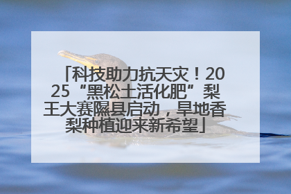科技助力抗天灾！2025“黑松土活化肥”梨王大赛隰县启动，旱地香梨种植迎来新希望