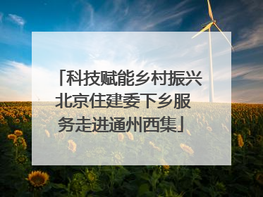 科技赋能乡村振兴 北京住建委下乡服务走进通州西集