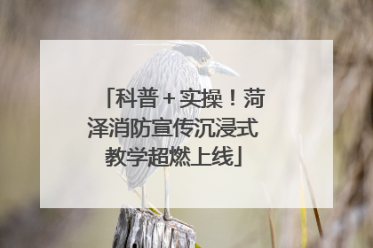 科普＋实操！菏泽消防宣传沉浸式教学超燃上线