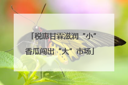 税惠甘霖滋润“小”香瓜闯出“大”市场