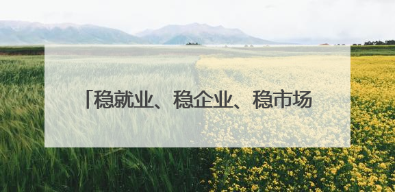 稳就业、稳企业、稳市场、稳预期，山东发布2025年第二批政策清单