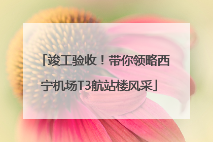 竣工验收！带你领略西宁机场T3航站楼风采